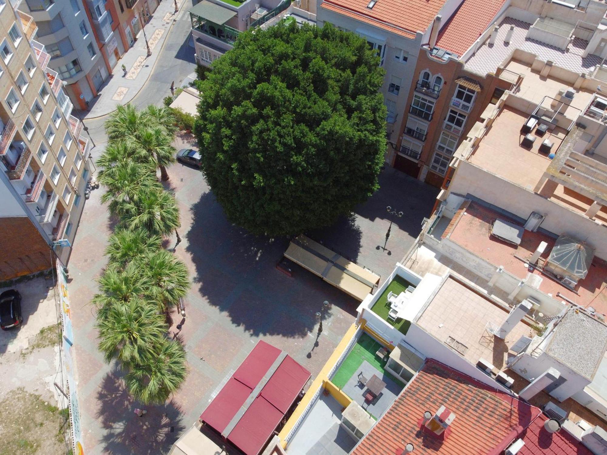Apartamentos Nuevo Edificio Alba Cartagena Centro Parking 外观 照片